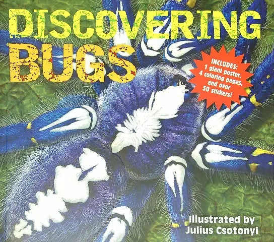 Discovering Bugs