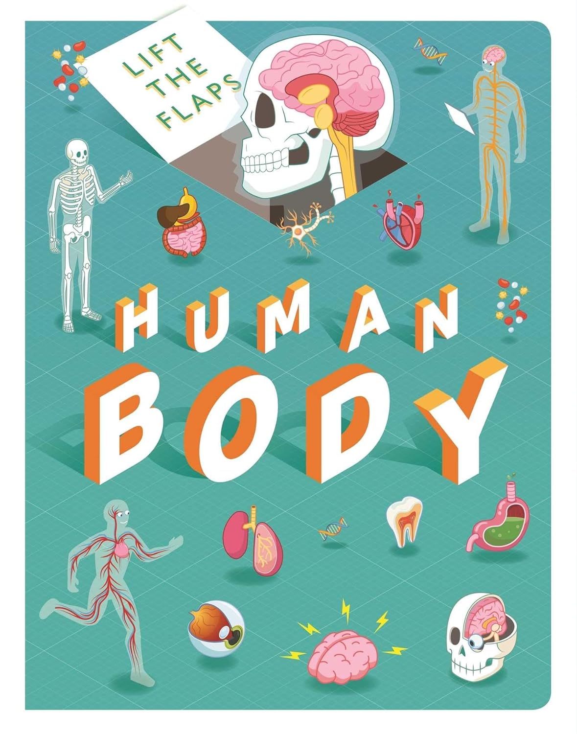 Human Body: Lift-the-Flap Book