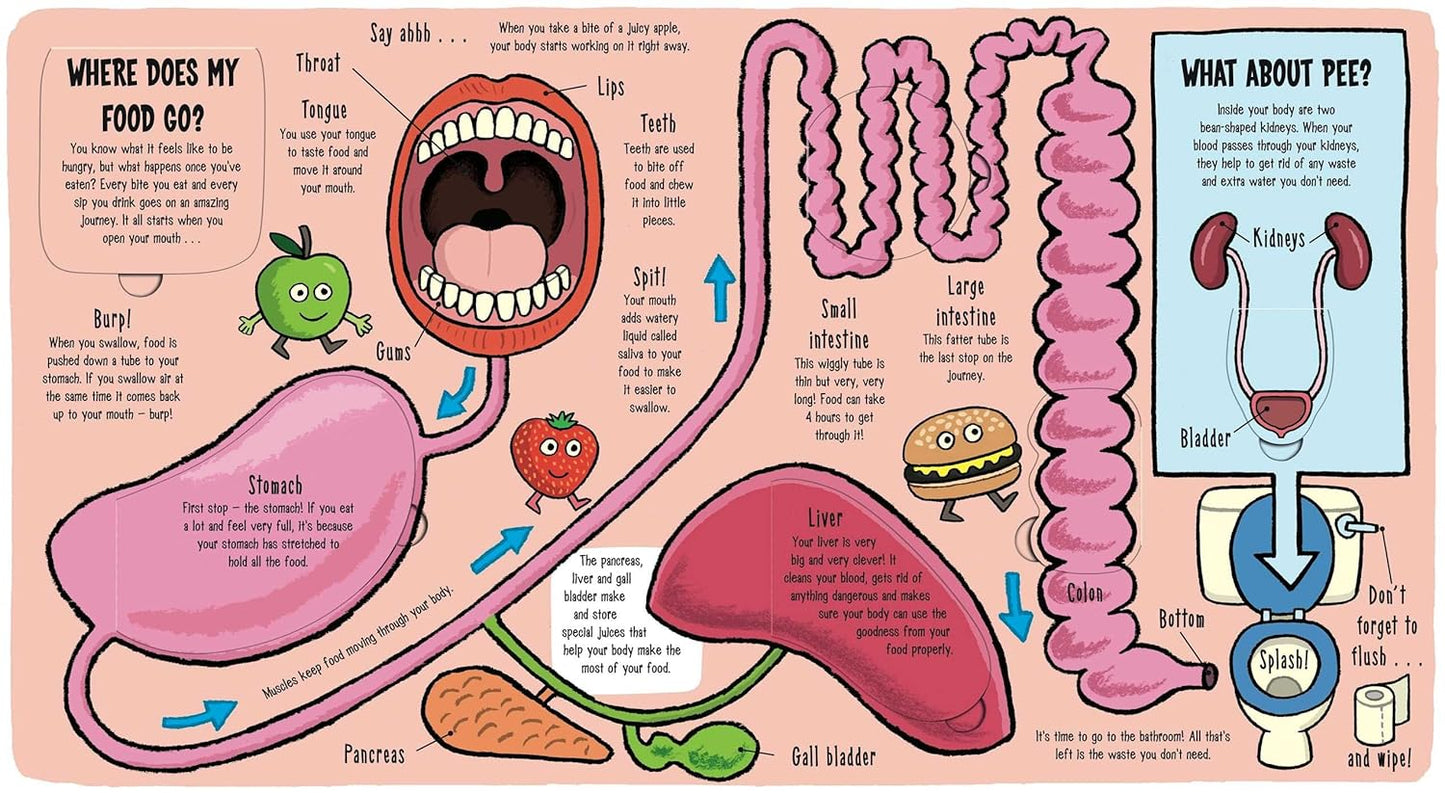 Little Explorers: My Amazing Body