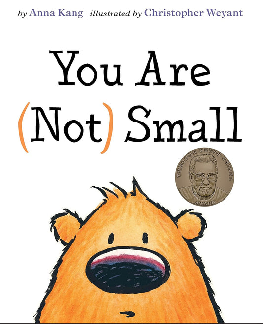 You Are Not Small Hardcover