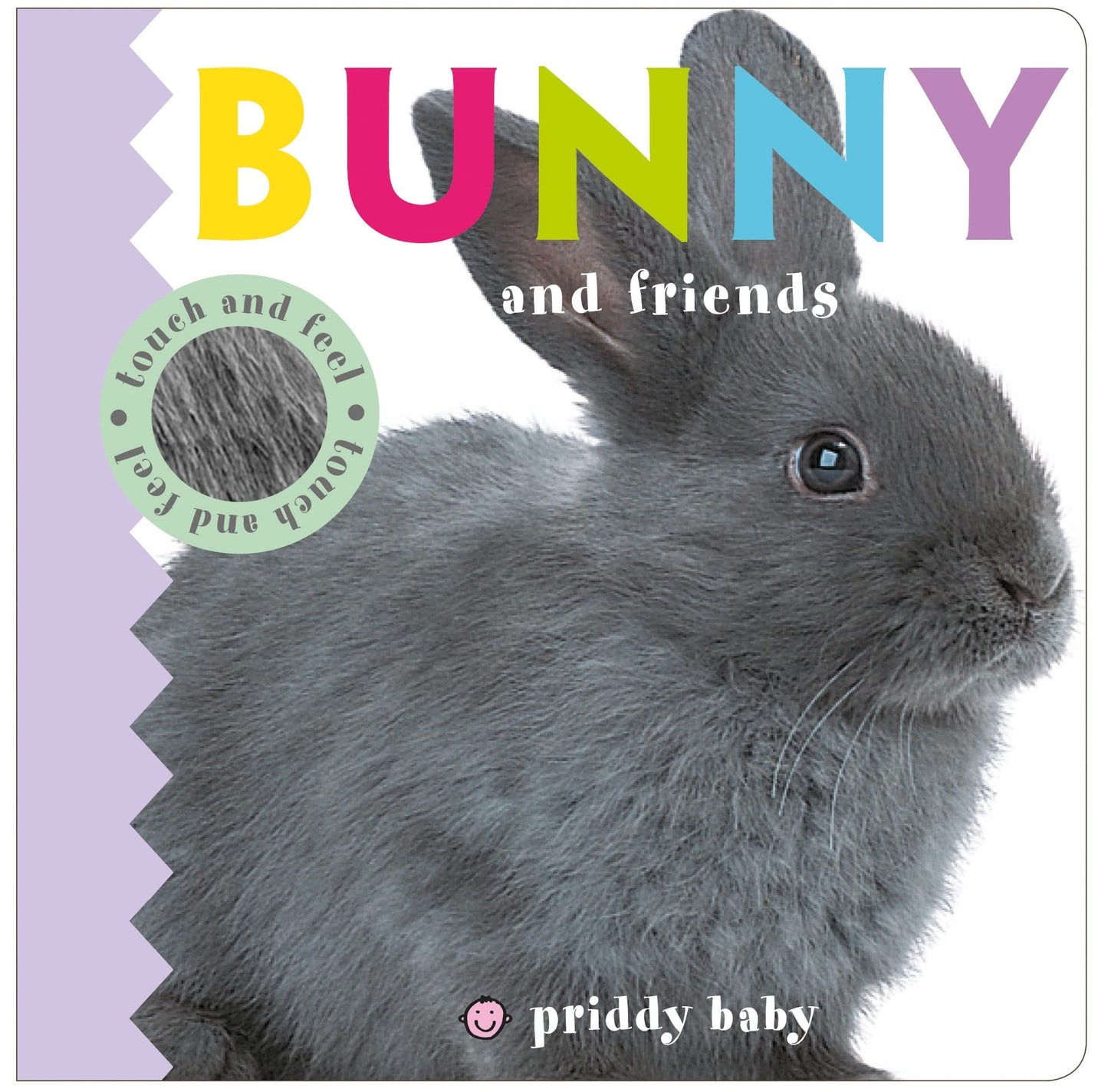 Bunny and Friends (Baby Touch and Feel)