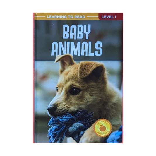 Baby Animals