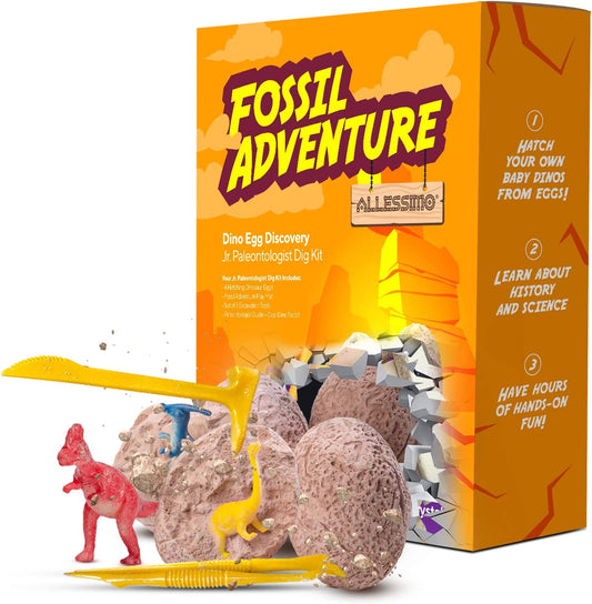 Fossil Adventure - Dino Egg Discovery