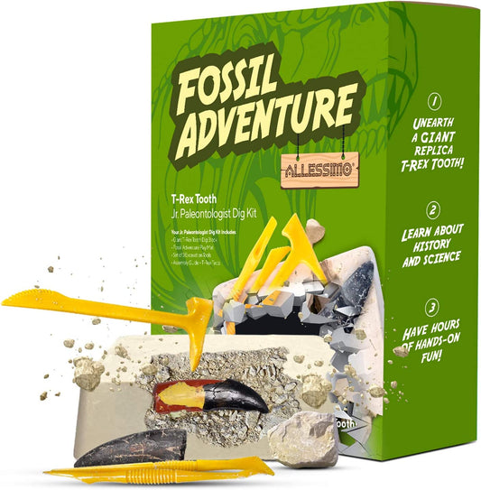 Fossil Adventure - T-rex Tooth